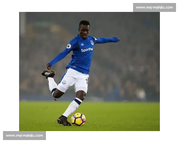 法媒:雷恩巴黎 FC 争夺盖耶,埃弗顿续约陷入僵局 法媒:雷恩巴黎 FC 争夺盖耶,埃弗顿续约陷入僵局